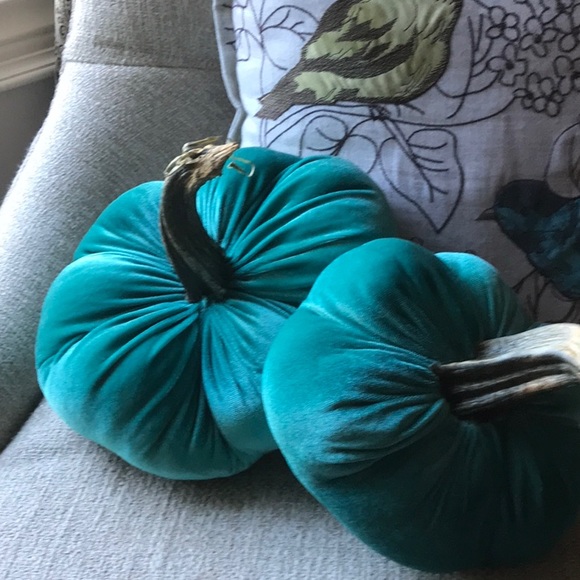 Selling Set of two Velvet pumpkins with real stems - Picture 4 of 4